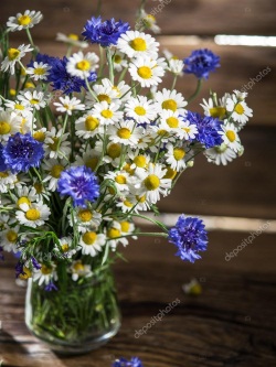depositphotos 117324876 stock photo bouquet of chamomiles and cornflowers